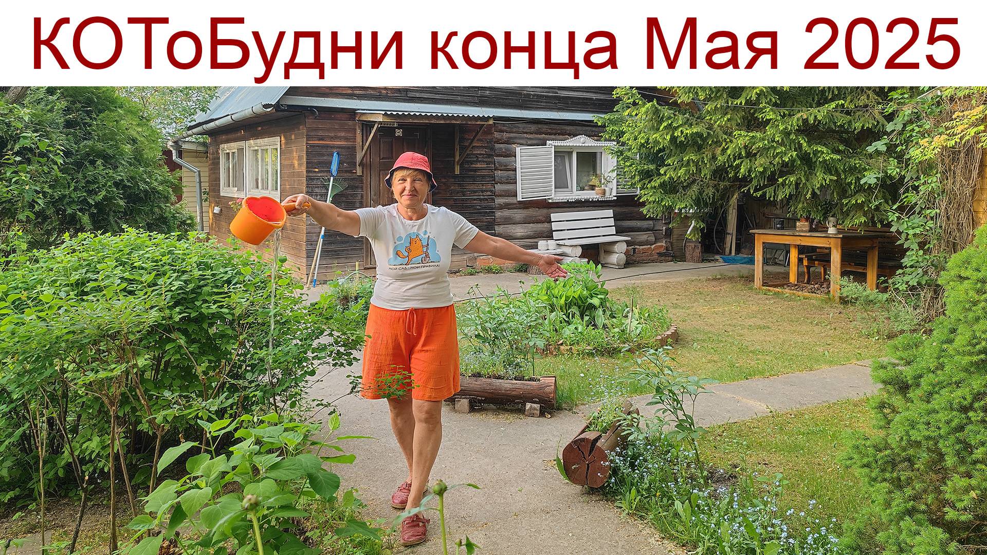 КОТоБудни конца мая или Приключения Красной Шапочки в маленькой деревне на краю леса смотреть онлайн