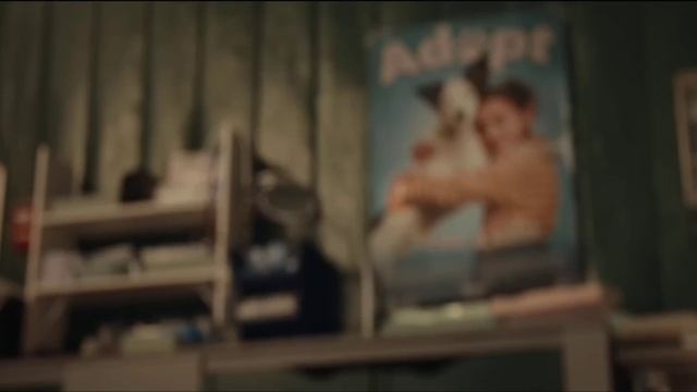 «Лило и Стич» разорвал прокат — всего за 4 дня фильм собрал более $341 миллиона, показав лучший стар смотреть онлайн