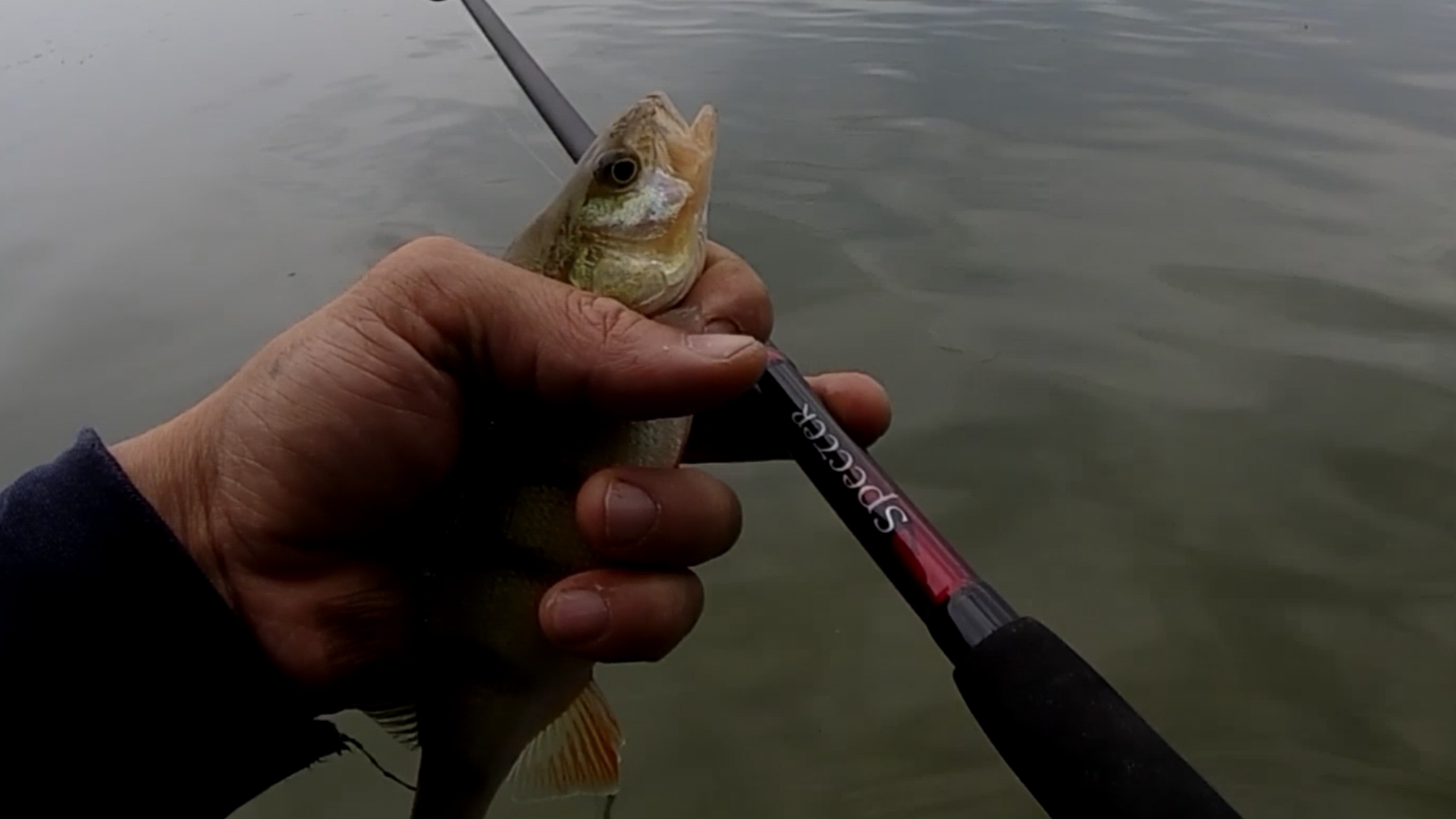 Рыбалка.окунь на отводной поводок!