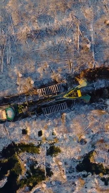 Дисковый рыхлитель Timbertrack ТТ-28М #farming #forestry #automobile #excavator смотреть онлайн