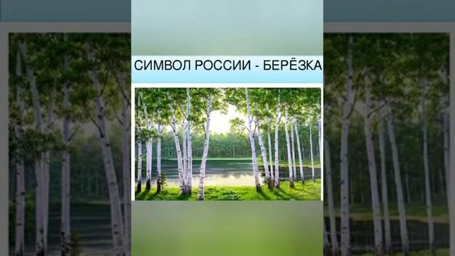 Окружающий мир - "Сакура" смотреть онлайн