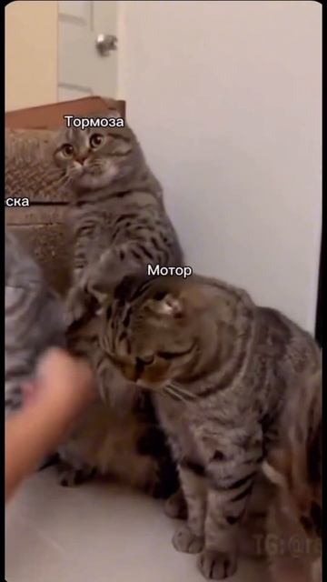 Жизнь такая 😅 #лайк #ваз #машины #перекуп #подпишись #ю? смотреть онлайн