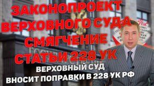 Поправки в статью 228 Уголовного кодекса РФ. Верховный суд предлагает смягчить наказание за хранение