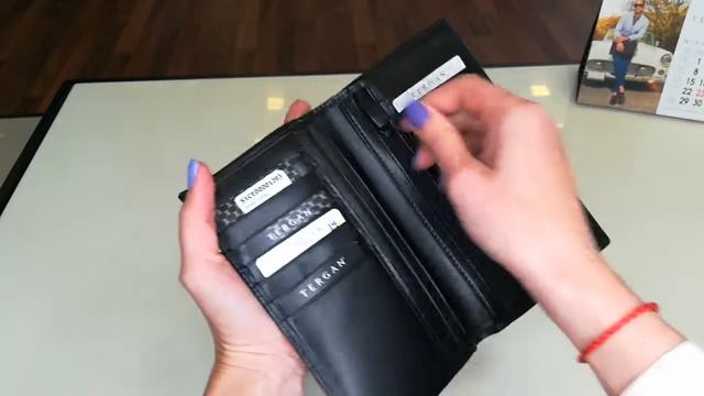 ПОРТМОНЕ МУЖСКОЕ TERGAN 1293 ВЕРТИКАЛЬНОЕ ДЛЯ ДОКУМЕНТОВ И КАРТОЧЕК SIYAH FIESTA ЧЕРНЫЙ смотреть онлайн