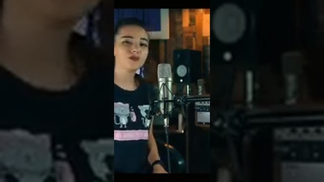 турецкие песни. Elfida