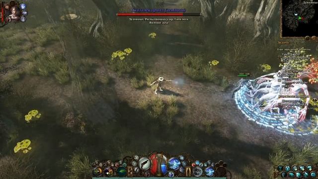 The Incredible Adventures of Van Helsing. Чаща Духолесья