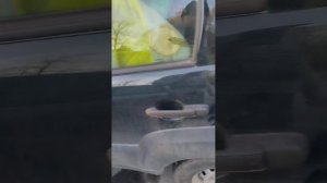 сырость под ковриком,нива тревел!