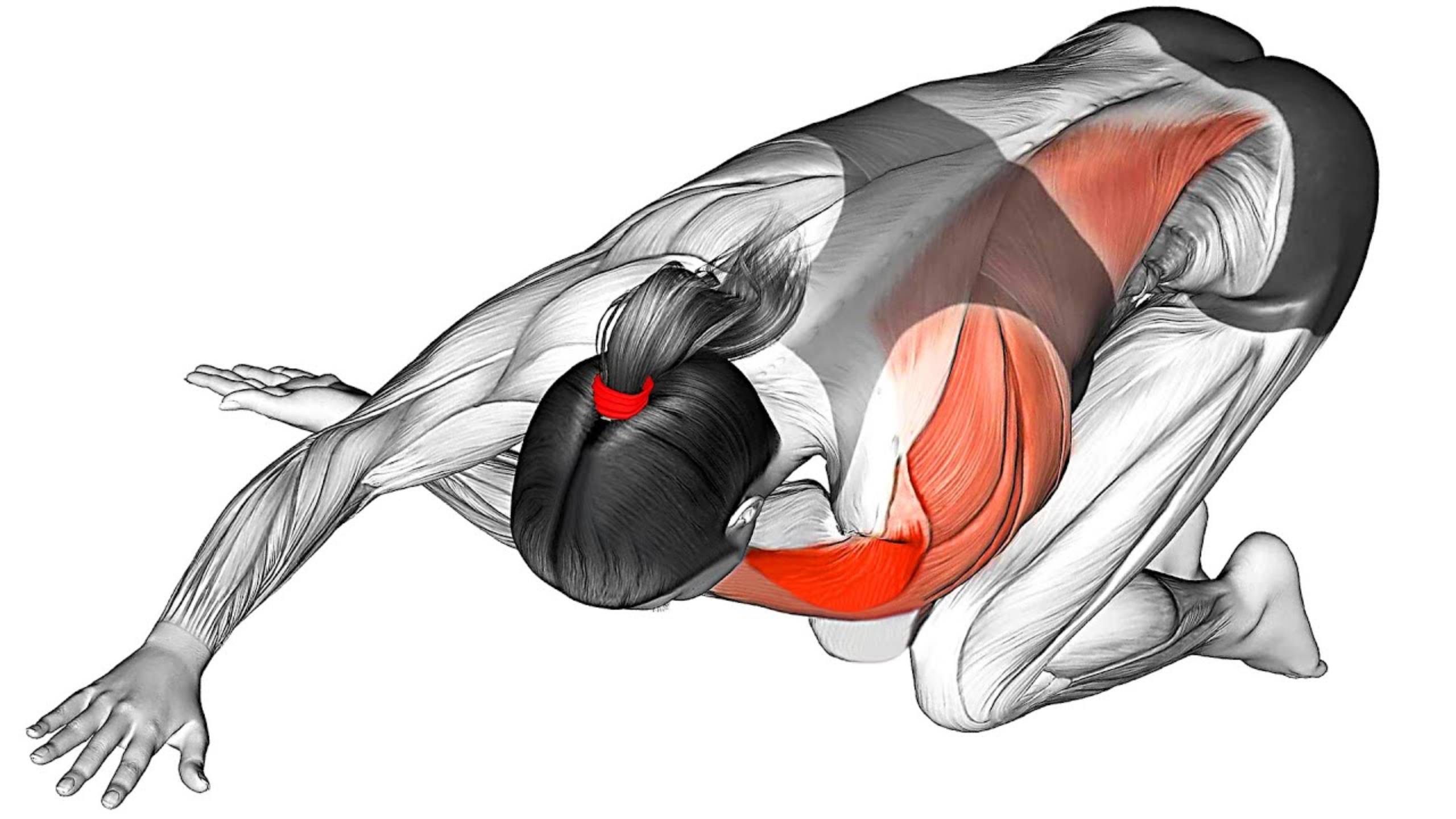 Как тонизировать мышцы с помощью Утренней Зарядки смотреть онлайн