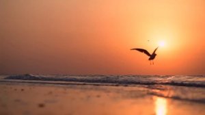 Расслабляющие сказки на ночь от Ирбис Найт для сна