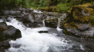Шум реки. Звук реки. Звуки природы. Белый шум. Без рекла