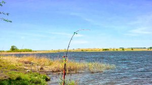 Бешеный клёв огромных карасей! Вот это лапти! Удочки отрываются от земли, супер рыбалка!