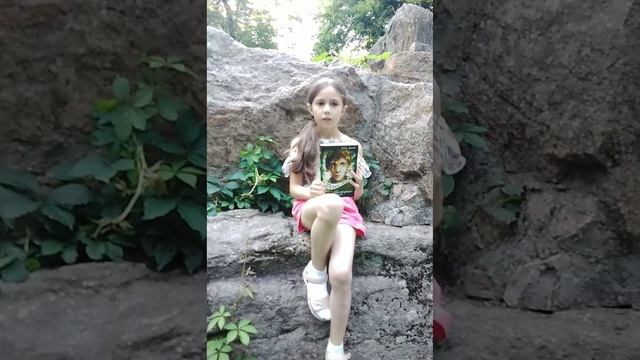 Обзор книги "Діти лісу" смотреть онлайн