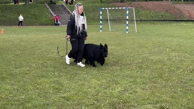 3 Отл. GARRY First Of The Best +++ №105 / КЧК+ БОРИСОВ (BY) 17 мая`25 M.Jovovic Моно нем.овч.