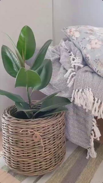 Деревенский стиль #ротанг #кашпоизротанга #кашпо #дере смотреть онлайн