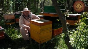 ПРОЦЕСС ВЫВОДА МАТОК