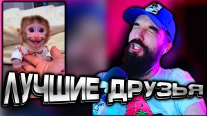 Здесь ничего нет / TikTok