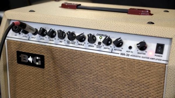 BG WA30 Комбоусилитель гитарный акустический, 30 Вт, 10"