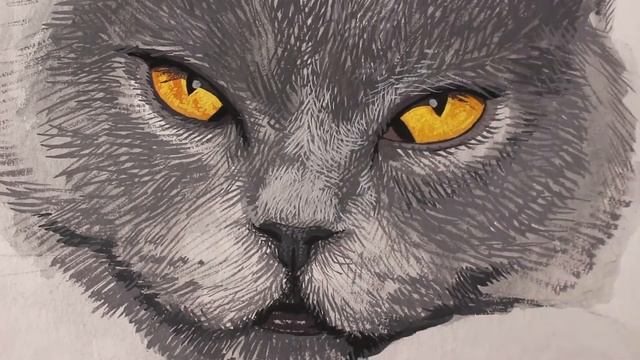 Realistic Painting Cat. Кошка смотреть онлайн