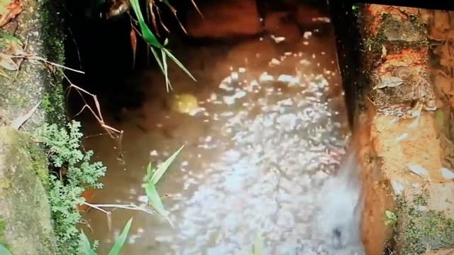 Два мира. смотреть онлайн