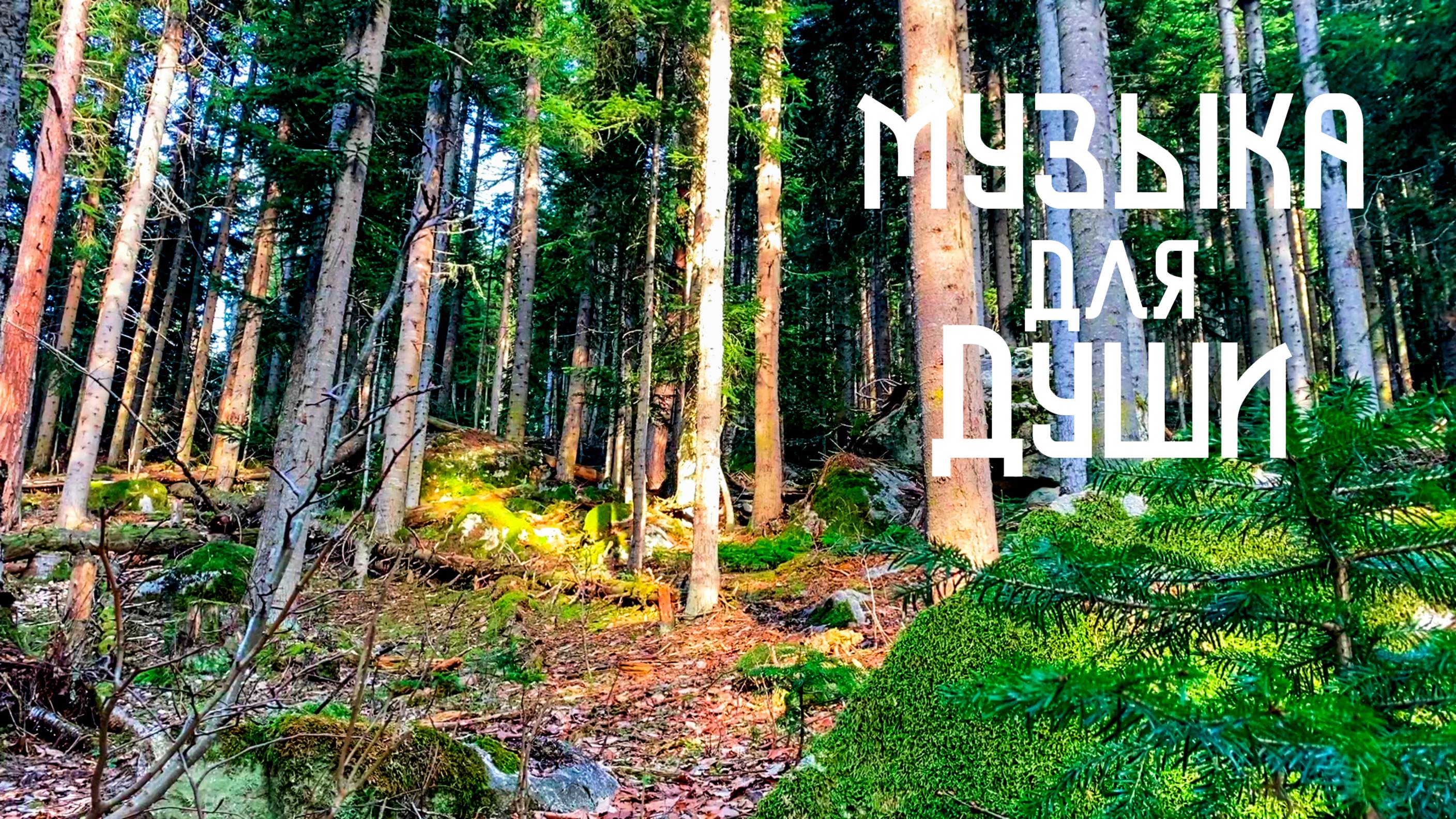 Зайди в Лес / Этническая Музыка Души и Звуки Природы смотреть онлайн