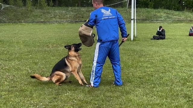 1 О/Отл. SHANI v. Haus Devartis +++ №87 / КЧК+ БОРИСОВ (BY) 17 мая`25 M.Jovovic Моно нем.овч.