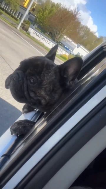 Вот почему машина всегда должна быть новая! смотреть онлайн