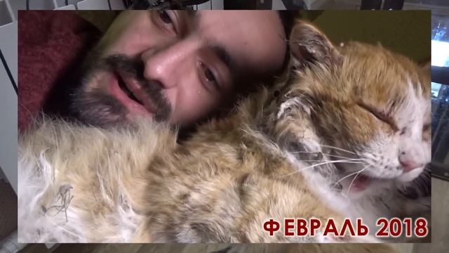 ВОЗВРАЩЕНИЕ БЛУДНОГО ПЯТАЧКА и многое другое! ❆ КОТОЖИЗНЬ! 8-15 февраля 2019 смотреть онлайн