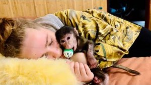 Алина хотела отдохнуть, но Анфиса УСТРОИЛА БЕСПОРЯДОК и прошлось убираться