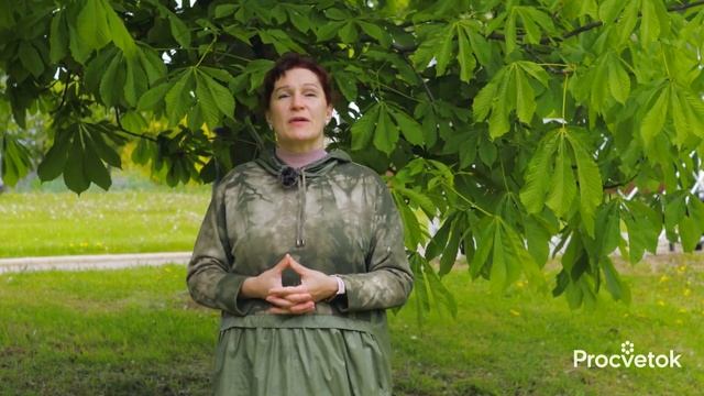 УКРЕПЯТ СЕРДЦЕ И СОСУДЫ! Какие травы сохранят здоровье сердечно-сосудистой системы? смотреть онлайн