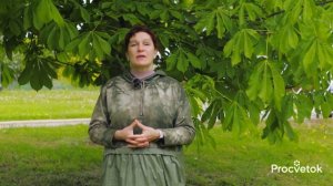 УКРЕПЯТ СЕРДЦЕ И СОСУДЫ! Какие травы сохранят здоровье сердечно-сосудистой системы?