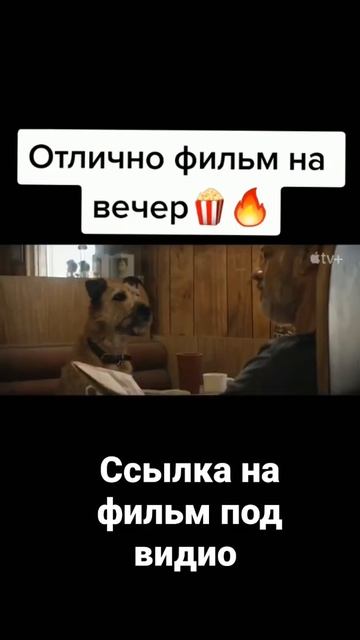 Финч 2021 https://n.fcd.su/eSacgm смотреть онлайн