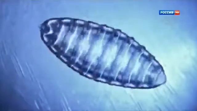 Фильм ВОДА ч 3 Новое измерение HD смотреть онлайн