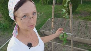 Видео привет с 6 соток 27 мая 2025 года