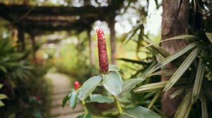 Медитация от геморроя