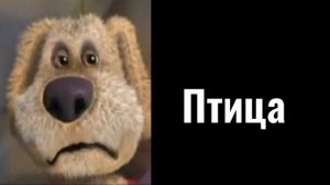 На тебя накричала