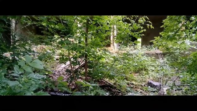 Борн 2 Крик свободы 2017. смотреть онлайн