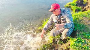 Кинул здоровый воблер и началось! Нарвались на выход рыбы! Судак, щука, карась! Рыбалка на воблеры!