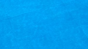 Gnezdo Razdolnaya 104 Petergof Leto