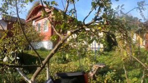 GEOS MAX CSP137 - в саду