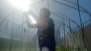 Приехали Саша со Стасом и Маша/ Встречаю, угощаю / Проведали пчёл/