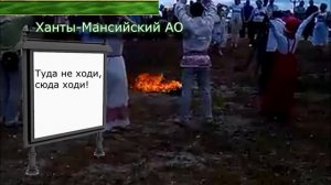 Недавний закон о валежнике. Заготовка дров разрешена?