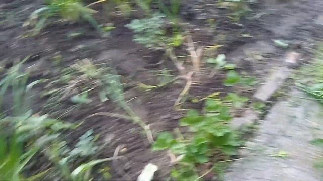 Несколько дней со мной. смотреть онлайн