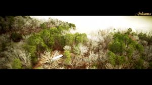 Час истины (2020) - The Vanished