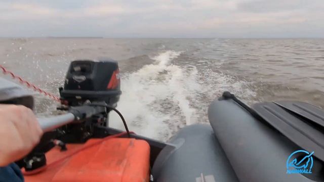 Нарвал Лайт