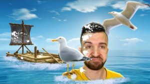 ЧАЙКИ ЗАГАДИЛИ МОЙ ПЛОТ