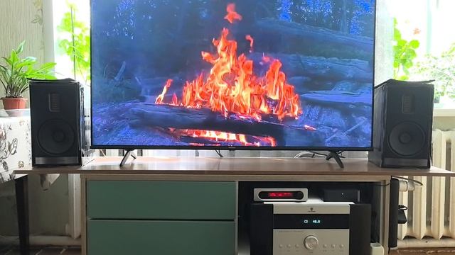 Tone Winner AD-99D , Martin Logan Motion 35XTi