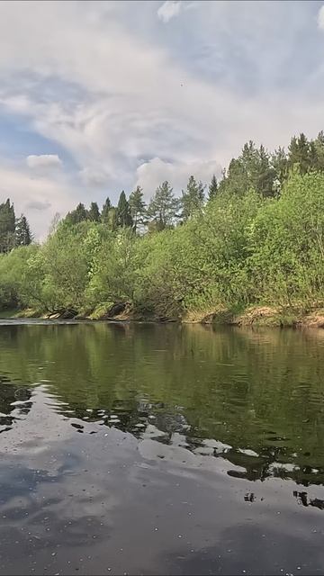 Всем с добрым утром и хорошего дня! смотреть онлайн