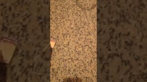 Как призвать Хаги-Ваги В РЕАЛЬНОЙ ЖИЗНИ