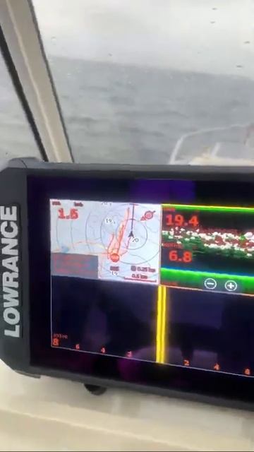 Эхолот Lowrance Elite FS 9 нашел рыбу.