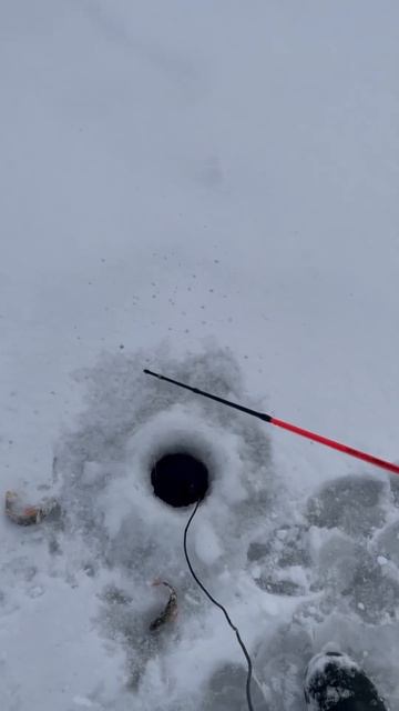 КАК ПОЙМАТЬ ОКУНЯ НА БАЛАНСИР #рыбалка #зимняяловляры? смотреть онлайн